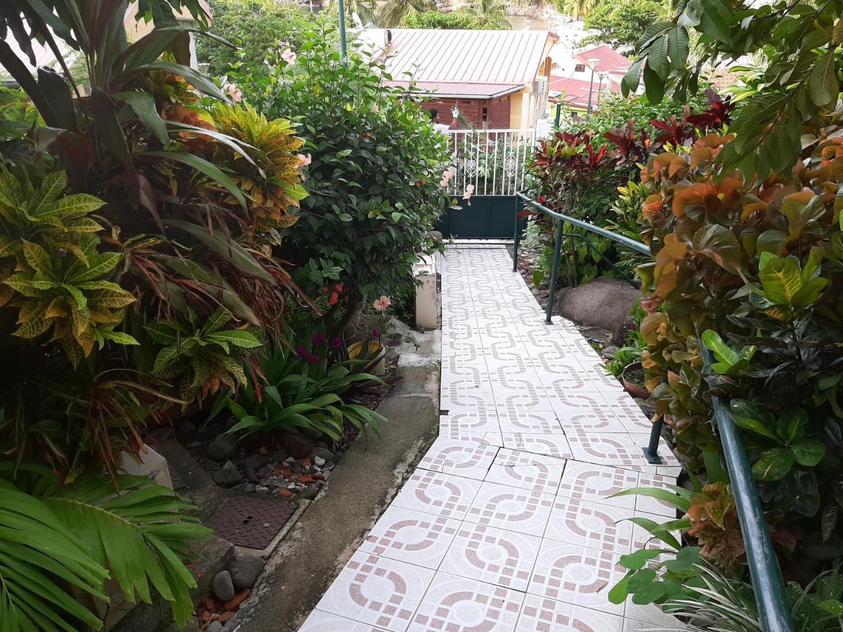 Les Hibiscus Apartment L'Anse Noire Exterior photo